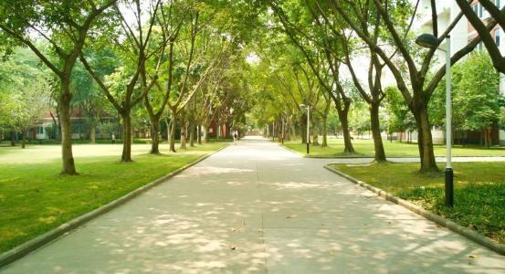 成人高考应用化学专业